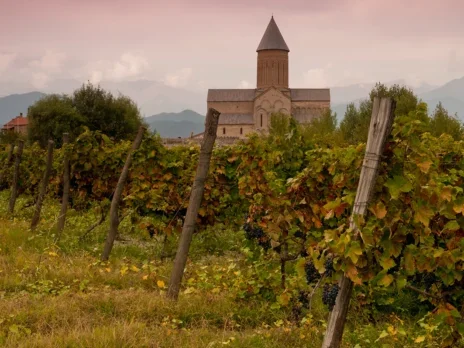 Georgian grape varieties: In an ancient league of their own