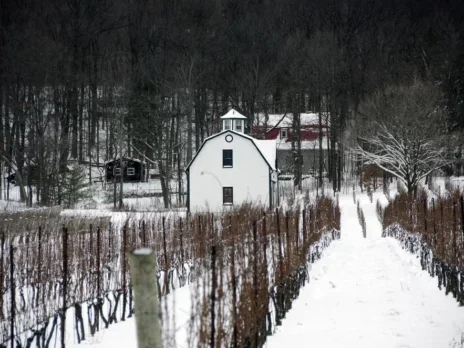 A Canadian terroir story: Niagara Peninsula and Prince Edward County