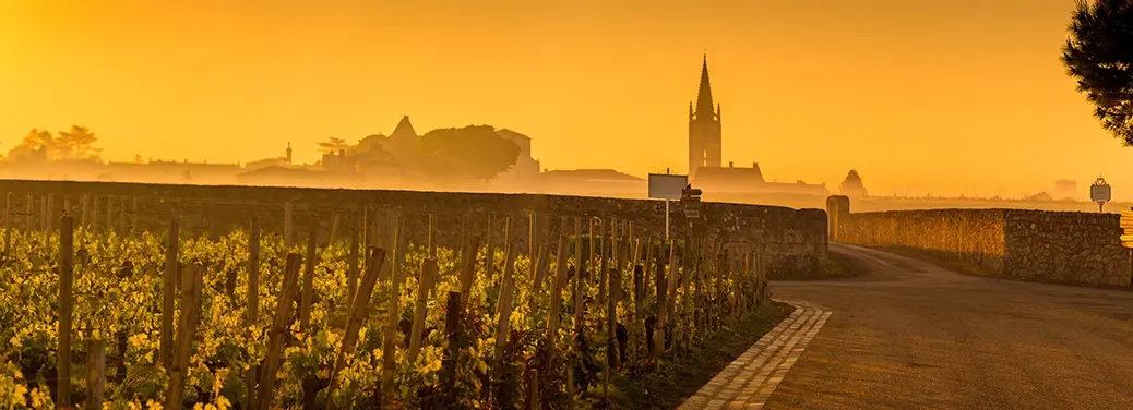 Bordeaux 2022 sunrise St-Emilion