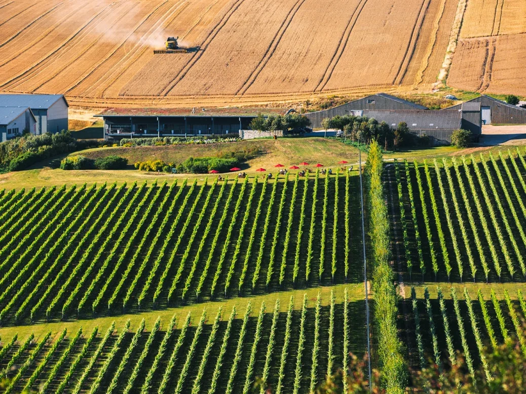 Rathfinny estate aerial view