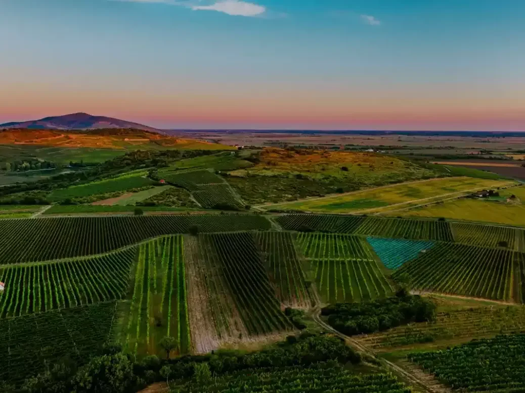 a view of tokaj's vineyards