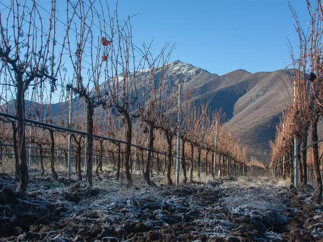 Alto Maipo