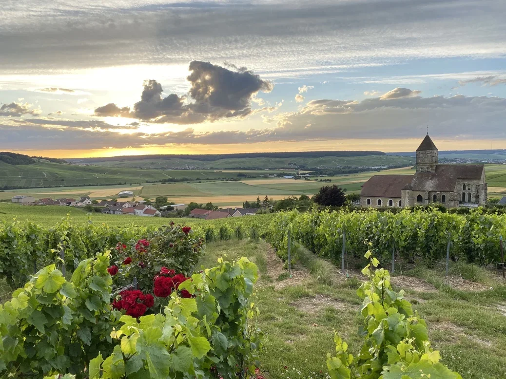 Gimonnet vineyard in Cuis