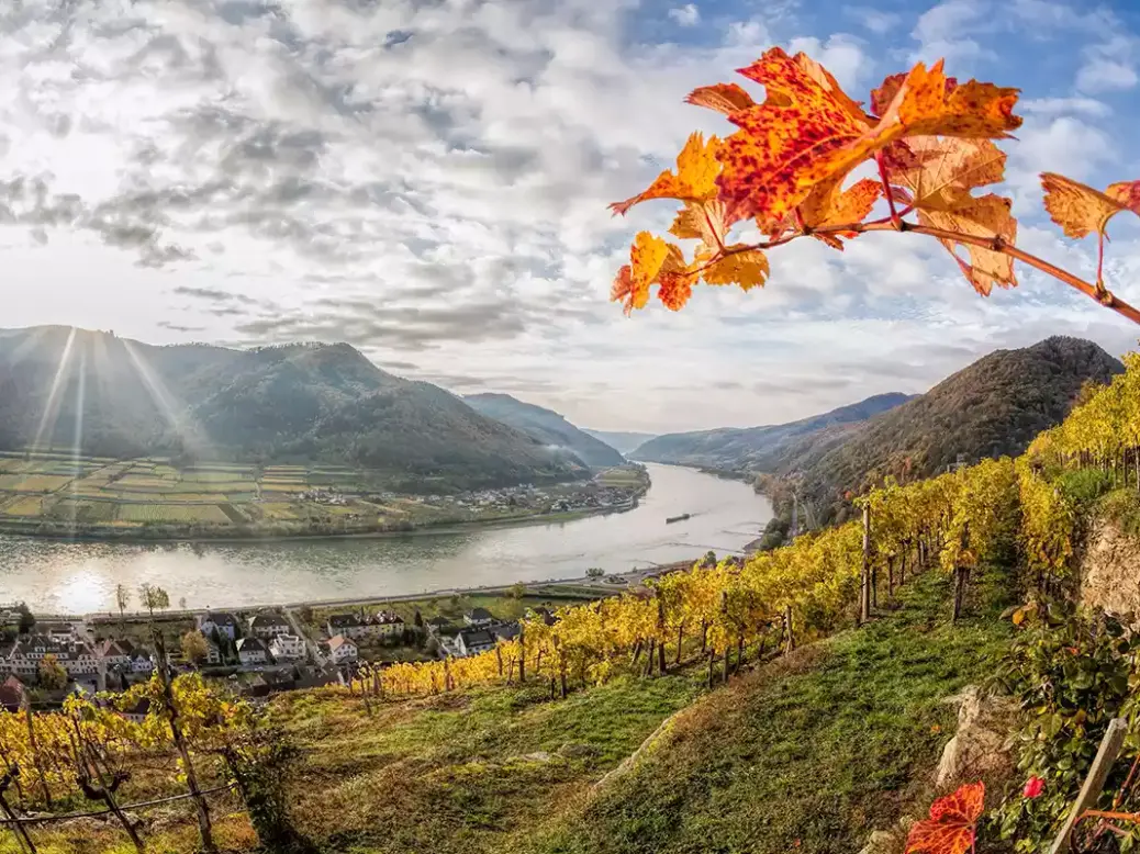 Climate in wine: the Wachau in Austria